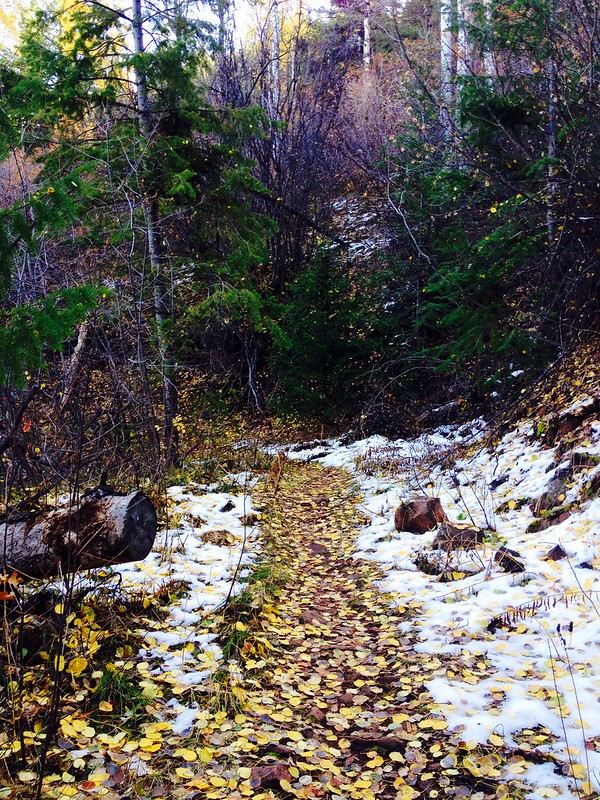 Scout Trail, Glenwood Springs