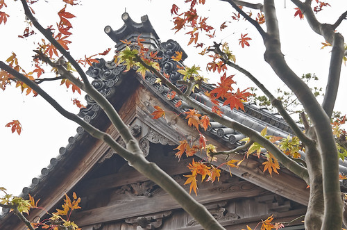 【写真】2013 紅葉 : 海住山寺/2021-05-26/IMGP3602