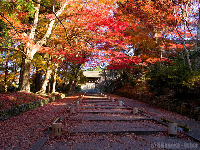 錦秋の毘沙門堂 (Bishamon-do in autumn)