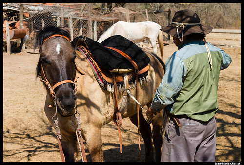 voyage travel horse latinamerica southamerica argentina argentine animal sport cheval riding salta equitation amériquedusud amériquelatine provinciasalta