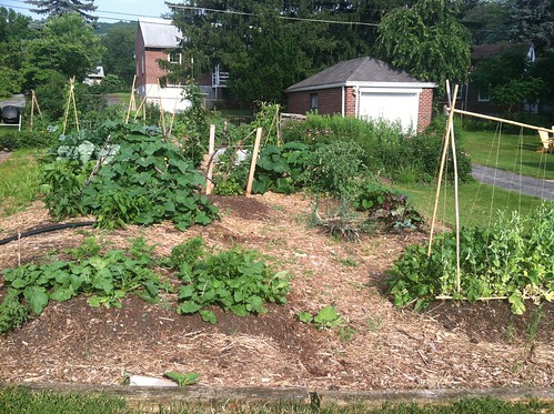 Albright College Garden