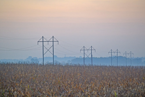 nature field lines fog sunrise corn cornfield power foggy somerswi