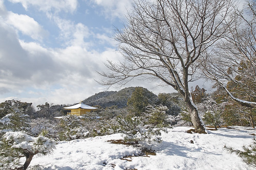 【写真】2014 雪 : 金閣寺/2020-07-05/IMGP4950