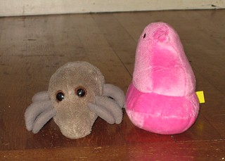 Dust Mite and (one of) its Peeps
