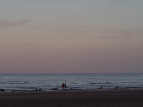 sunset beach dogs walking olympus pinksky omd em1 stcyrus