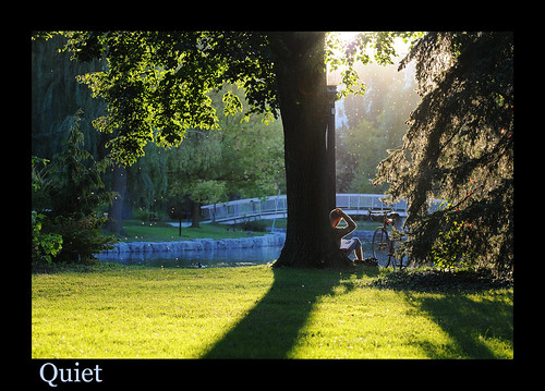 park bridge sunset sunlight nature beautiful reading still student pond victoriapark quiet shadows restful ducks peaceful bugs study flies lovely studying tranquil youngman goldenhour bicyle mapletrees willowtrees flyinginsects amazinglight sprucetrees victoriaparkisland