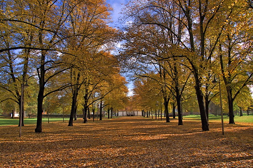 park autumn herbst magdeburg herrenkrug herrenkrugpark