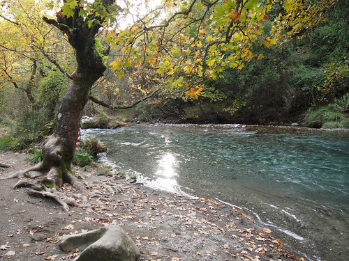 autumn trees river hellas greece arcadia lousios pelopolissos
