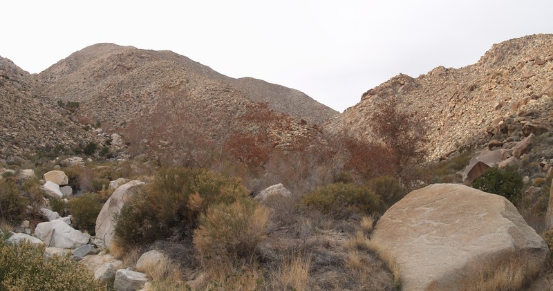 Panorama view looking back up Sheep Canyon, the South Fork is on the left