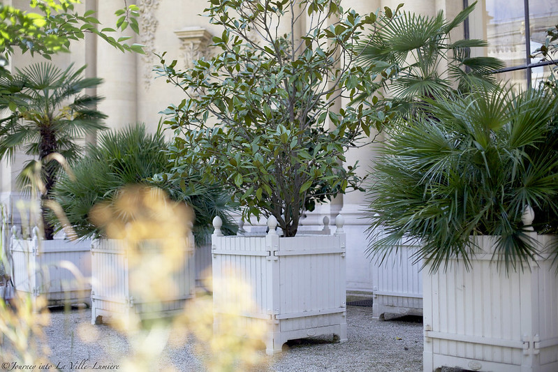 Le Jardin du Petit Palais