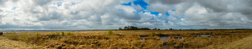 sky panorama plant nature landscape natur pflanze himmel ostfriesland moor landschaft nikoncoolpixp300