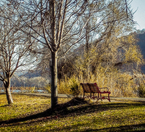 park november autumn trees fall nature minnesota bench landscape scenery scenic winona redbench