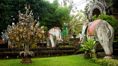 2013-11-20 Thailand Day 13, Wat Lok Moli, Chiangmai