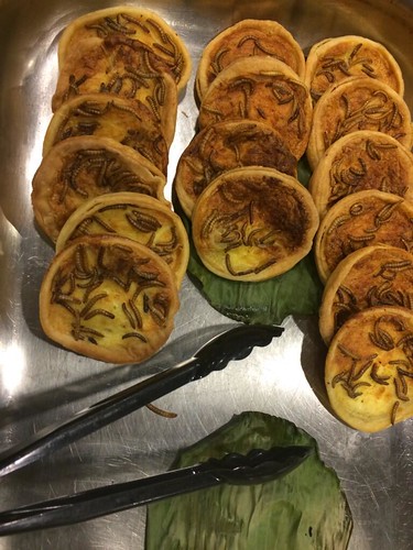 Mealworm quiche served for lunch at the Insects as Food Conference at Wageningen University in the Netherlands. Photo courtesy: Murtala Umar Faruk, DSM Nutritional Products