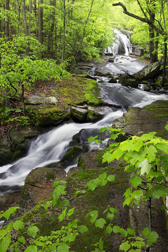 virginia waterfall spring stream hiking nationalforest gorge blueridge appalachians swva westernvirginia roaringrun