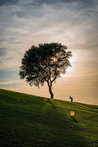 sunset tree green colors grass ball kid nikon concept doha qatar d800 2470mm conceptphoto flickr12days