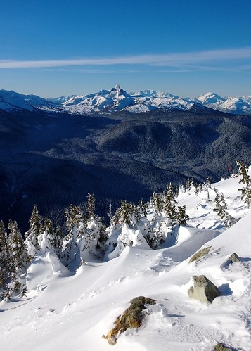 trees panorama mountain snow forest spectacular whistler rocks view january valley piccolo symphony blacktusk
