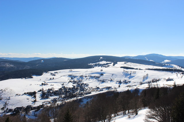 Winter im Schwarzwald II
