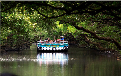 四草濕地竹筏生態旅遊(圖片來源：台灣濕地保護聯盟)