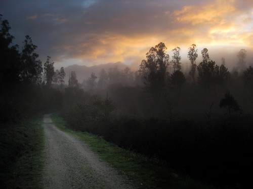 fog sunrise nebel camino natur pflanzen wolken galicia bäume esp jakobsweg spanien wetter wege morgenlicht luou pilgern stimmungen caminhoportuguês viduido