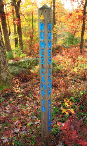 trees forest rocks hiking pennsylvania foliage trail creativecommons trailsign undergrowth pennsylvaniawilds quehannawildarea clearfieldcounty moshannonstateforest kunescamptrail