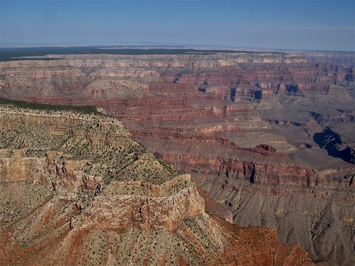 arizona usa colorado canyon erosion flore amerique