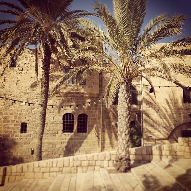 In Jaffa, one of the oldest ports in the world.