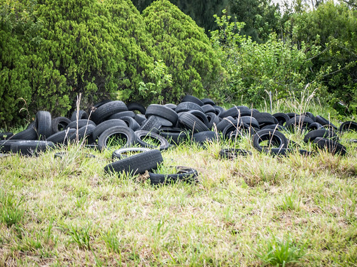 Illegal Tire Dump-004