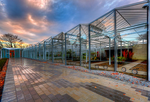 newzealand christchurch architecture sunrise perspective canterbury nz southisland hagleypark thevisitorcentre canoneos5dmarkiii