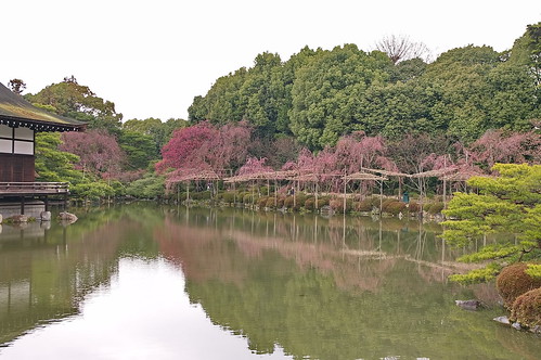 【写真】2013 桜 : 平安神宮/2019-05-16/IMGP8841