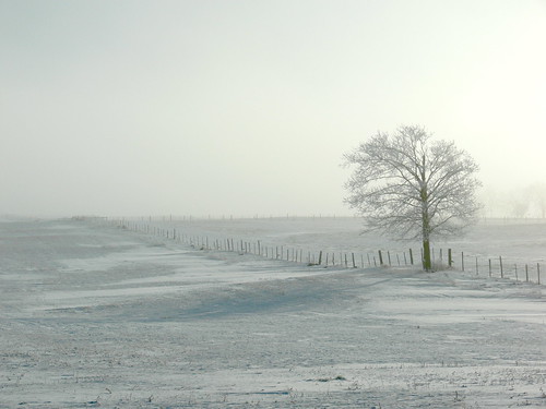 winter snow ontario canada fog landscape fences gimp fz30 silkypix panasoniclumixfz30 waterlooregion