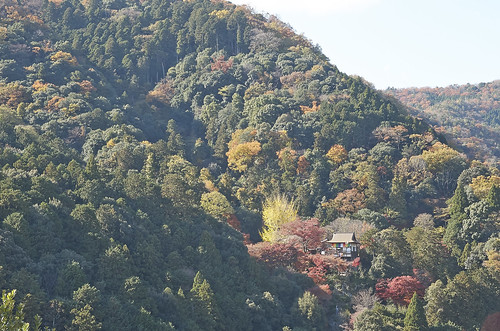 【写真】2013 紅葉 : 大河内山荘/2021-08-30/IMGP3995