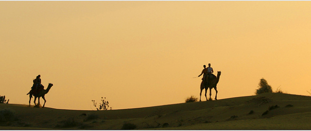 pushkar camel safari