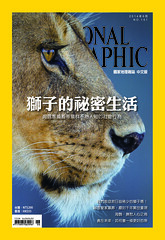 《國家地理》雜誌中文版6月號封面-獅子的秘密生活。（大石國際文化公司提供）