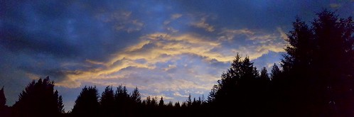 wetland sunset kitsappeninsula cloudsstormssunsetssunrises
