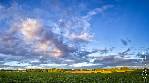 campagne landscape leverdesoleil paysage sunrise lillers nordpasdecalaispicardie france fr hdr dri panoramique panorama
