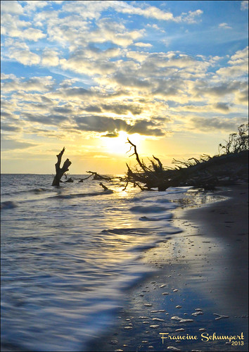 longexposure sun reflection beach clouds sunrise landscape driftwood hdr cloudysky partlycloudy jacksonvillefl bigtalbotisland nikond5100