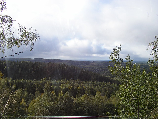 Bosques finlandeses