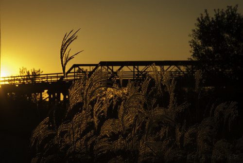 railroad bridge sunset silhouette landscape nikon unitedstates iowa unionpacific boone uprr 2013 d80 ponytruss kateshelley