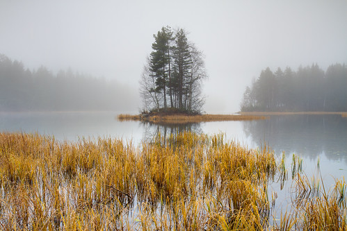 autumn lake fall reed nature weather norway fog island natur nor hdr vann lier høst tåke siv øy buskerud vær