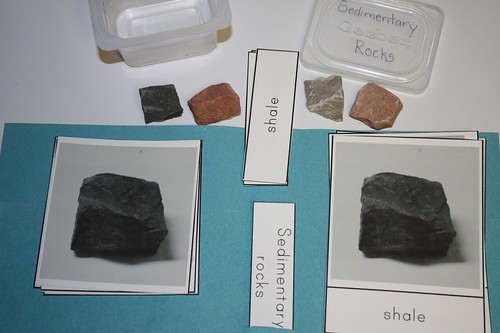Sedimentary Rocks (Photo by Julie from Nurturing Learning)