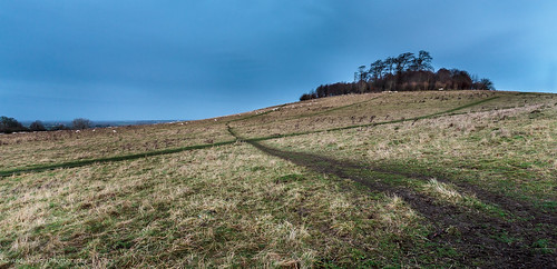 morning sky landscape sony hill paths oxfordshire roundhill wittenhamclumps blinkagain earthtrust slta77