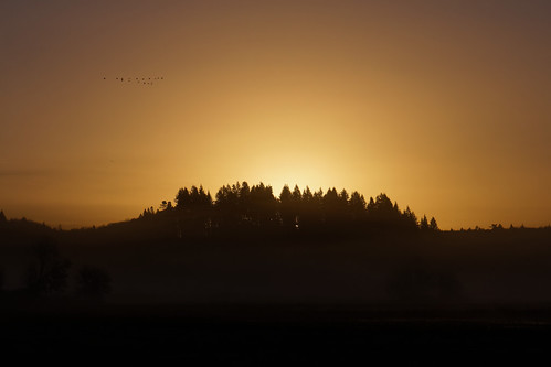 sunrise washington cacklinggoose autotour ridgefieldnationalwildliferefuge riversunit