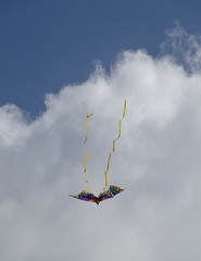 kite and cloud.jpg