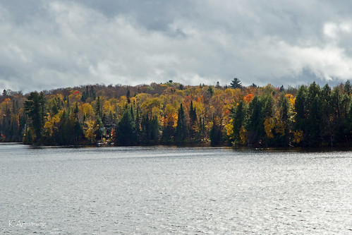 autumn trees lake ontario fall clouds forest shoreline autumncolours deerlake tgam:photodesk=fall2013
