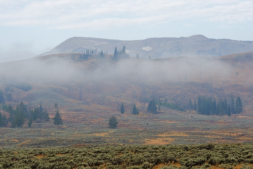 morning travel autumn trees usa mountains nature fog clouds landscape geotagged nikon yellowstonenationalpark yellowstone wyoming ynp d700 swanlakeflats 70200mmf28gvrii