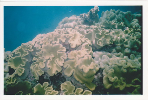 ocean blue sea fiji deep scuba oceania