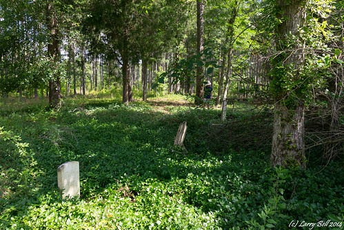 cemetery georgia unitedstates warmsprings larrybell meriwethercounty sharpcemetery larebel larebell
