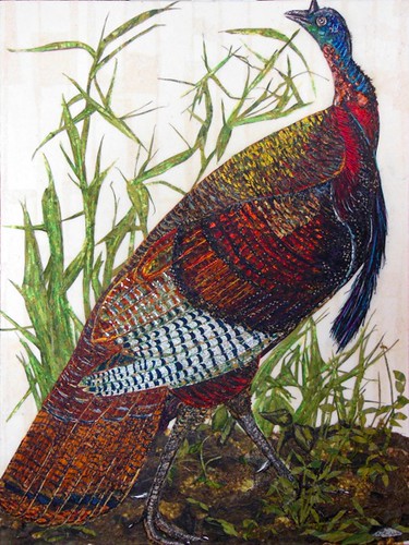 wild-turkey-paper-collage