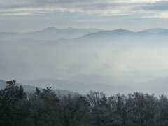 Novoroční výstup na Čerchov aneb Na nejvyšší bod Českého lesa cestou hraběcí